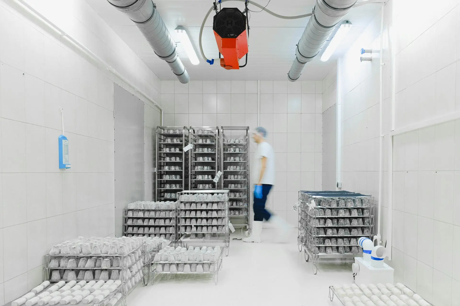Blurred worker in a cold storage facility with shelves of perishable goods, emphasizing motion and efficiency.