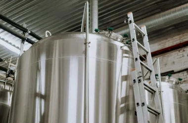 Vertical view of stainless steel fermenter tanks with a metal ladder in a brewery.
